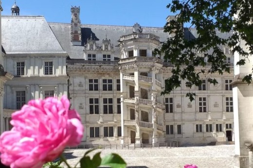 Château Royal de Blois - 1 Enfant (6-17 ans)