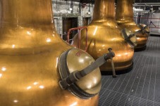 Jameson Experience at Midleton Distillery for Two (Cork)