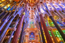 Barcelona half-day highlights tour
