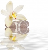 Ansigt massage i Odense