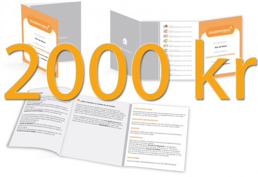 Gavekort 2000 DKK
