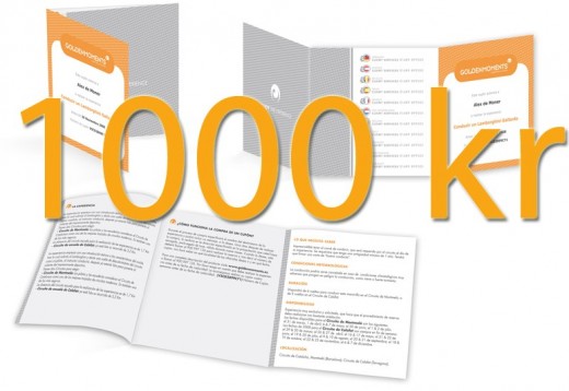 Gavekort 1000 Kr